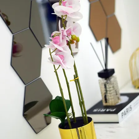 Red Queen Herculaneum Πανσιόν Ερκολάνο